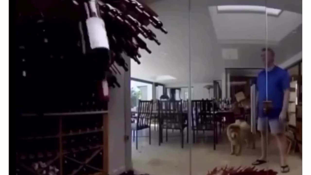 😂🍷 The Funniest Way to Store Your Wine Collection! | FunFM