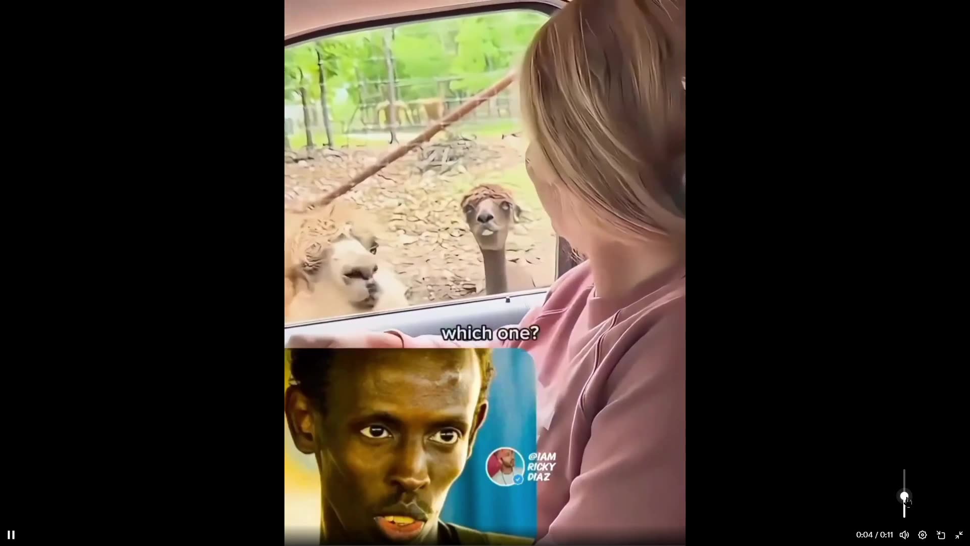 LMAO -  The one with the Somali Pirate face, feed that boy lol