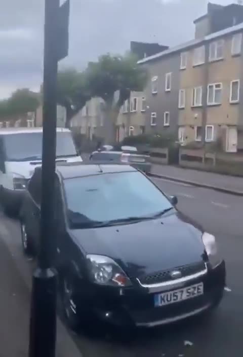 _There's something really wrong with those birds.. or do they know something