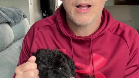 Puppy Love, Marriage, and a Very Bad Doggie