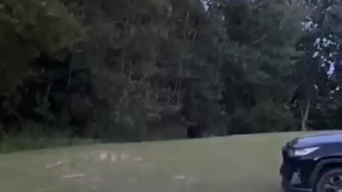 A Russian bear made a sabotage raid on Lithuanian territory
