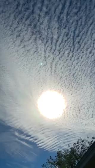 D'abord, ils libèrent une brume artificielle dans le ciel qui bloque le soleil... 🚨