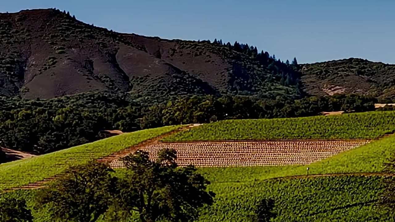 Welcome to California!