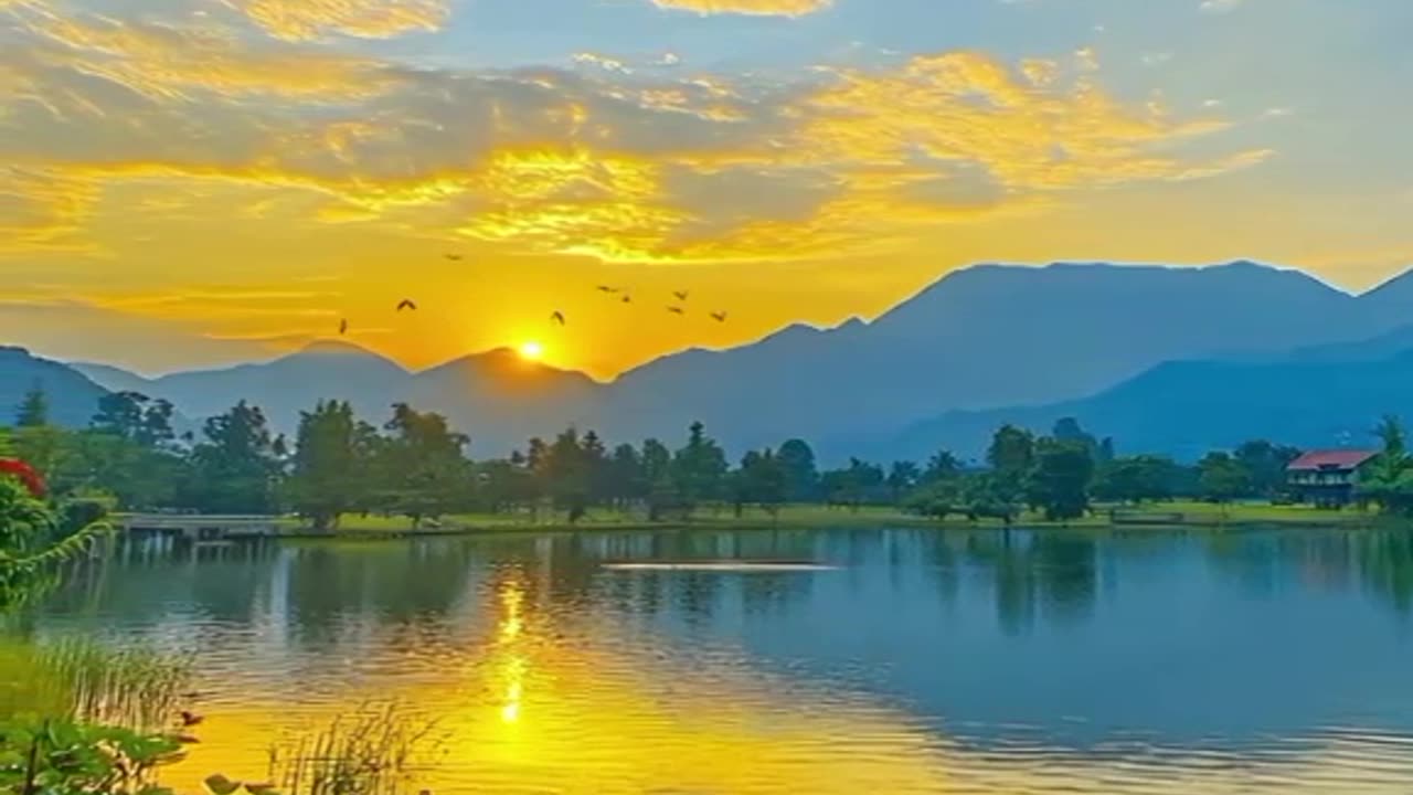 Beautiful video