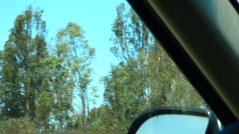 Hovering helicopters! It's a...hovering helicopter!