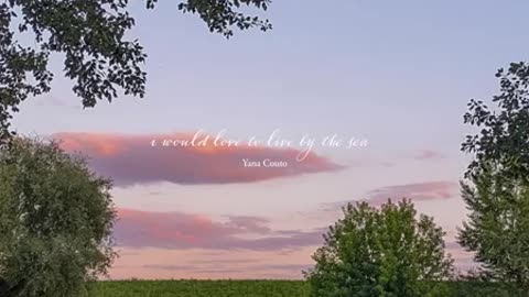 those calm summer evenings 🌻🐈🎶 (piano playlist 🎹)