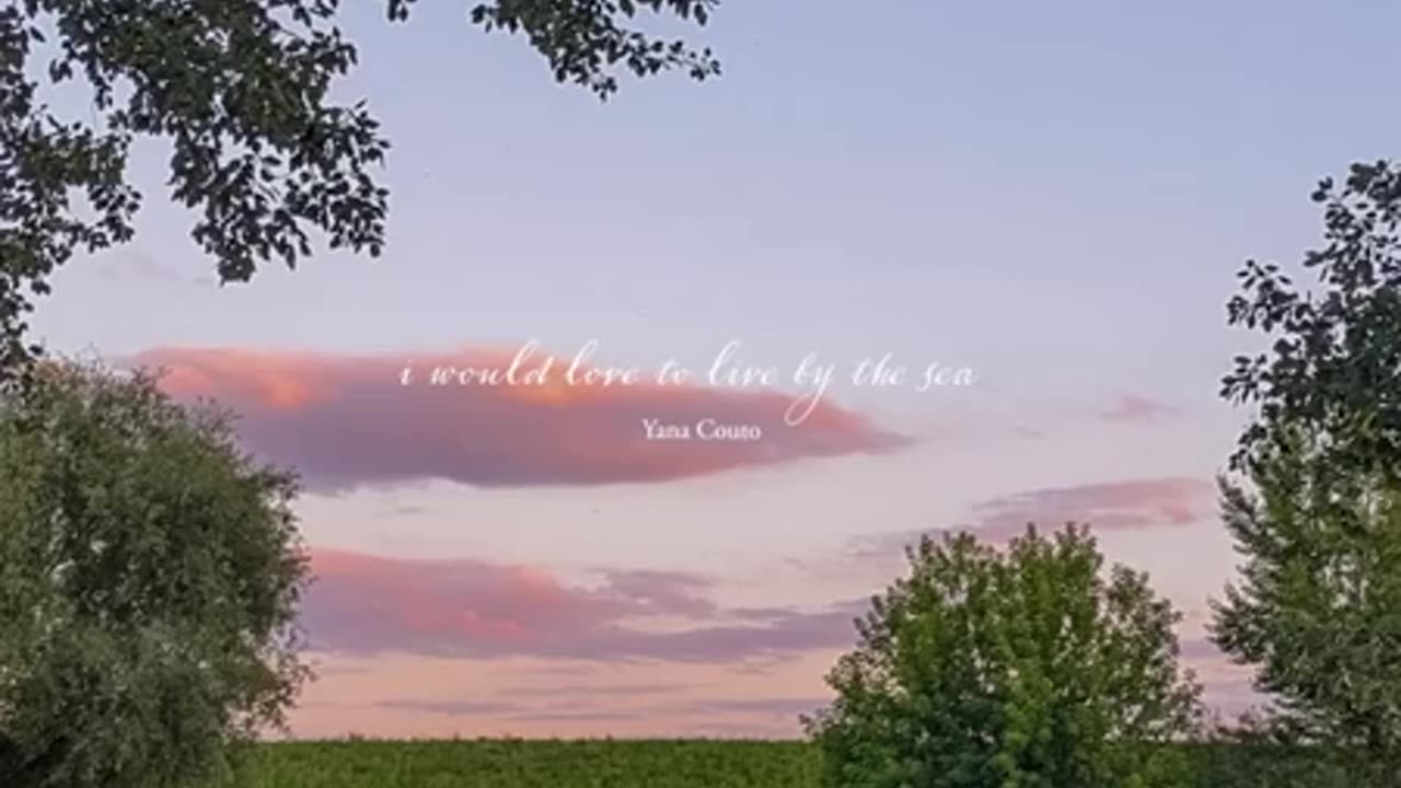 those calm summer evenings 🌻🐈🎶 (piano playlist 🎹)
