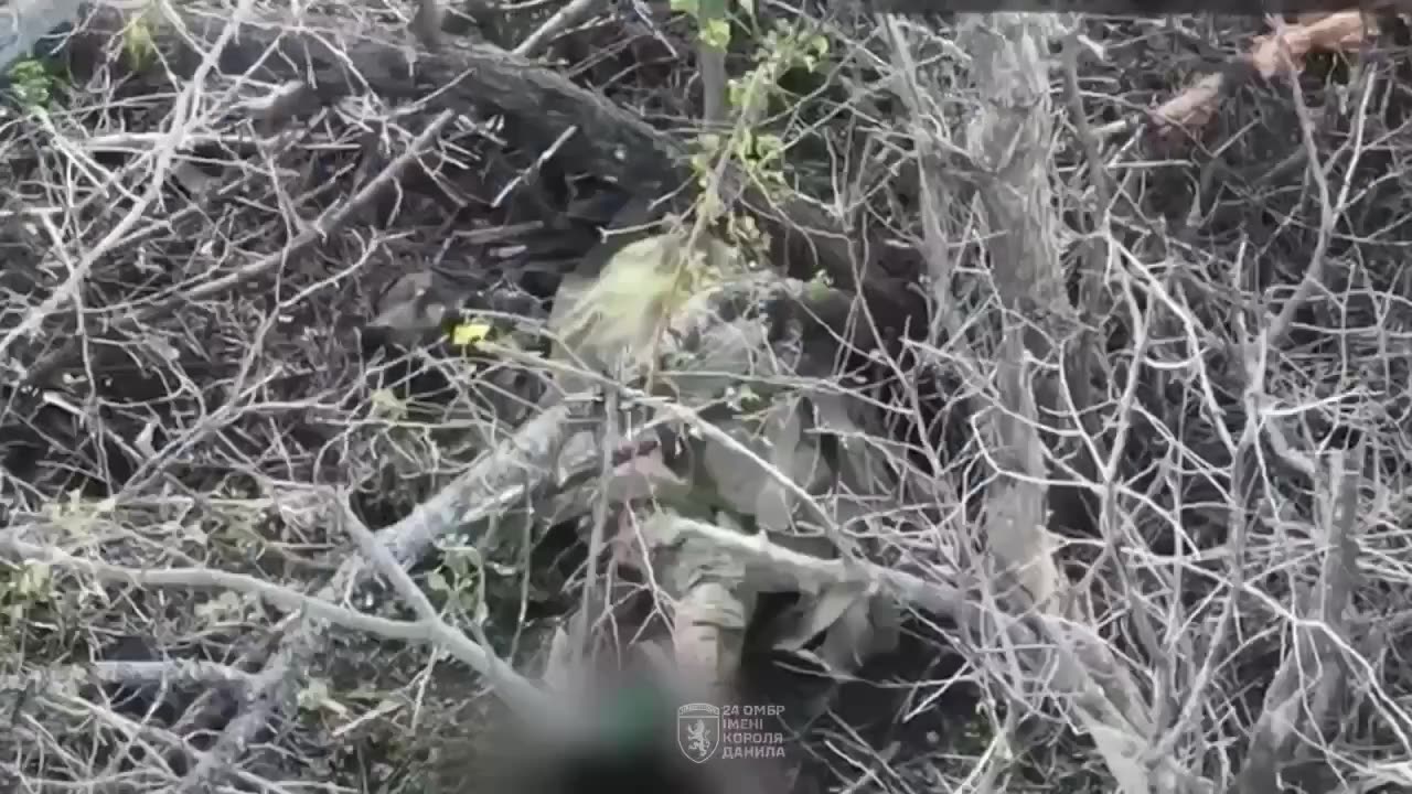 And I Think to Myself..... What a Wonderful World