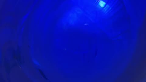 Wednesday morning rant with Mike 💫