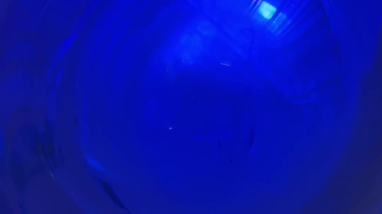 Wednesday morning rant with Mike 💫