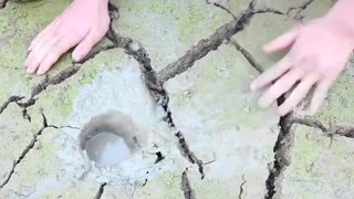 Shake & Fishing Techniques