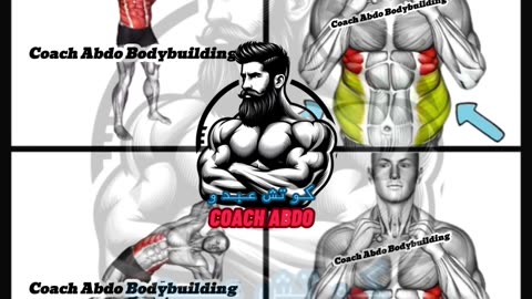 🔥 Shred Your Obliques | تمارين عضلات الخصر والبطن الجانبية