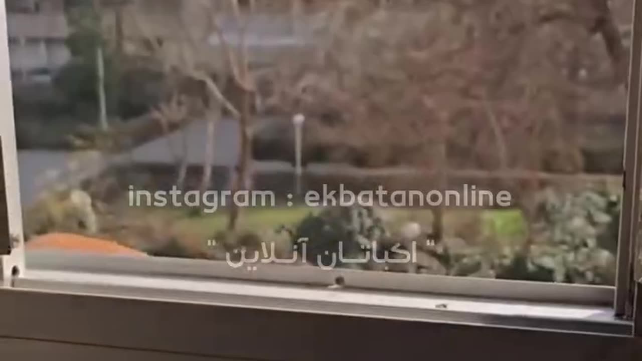 Majid, The angry cat