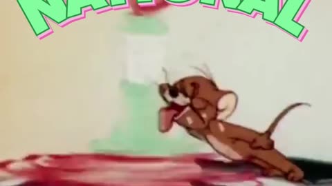 Tom and Jerry - The Ultimate Chase! 🐱🐭 Classic Cartoon Fun