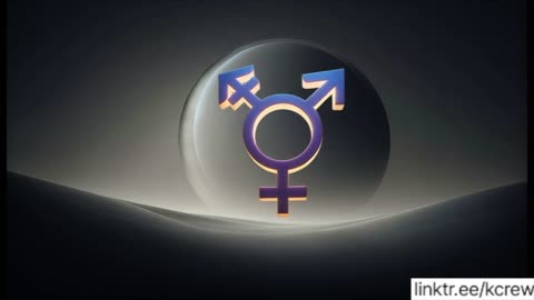 one trans story
