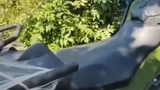 Russians Collecting Packages in Zap