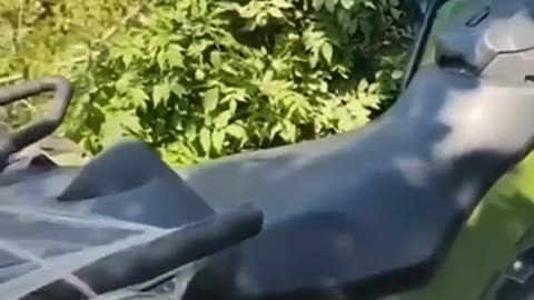 Russians Collecting Packages in Zap