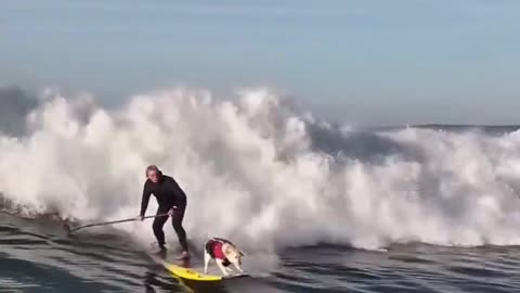 Motor Longboarding
