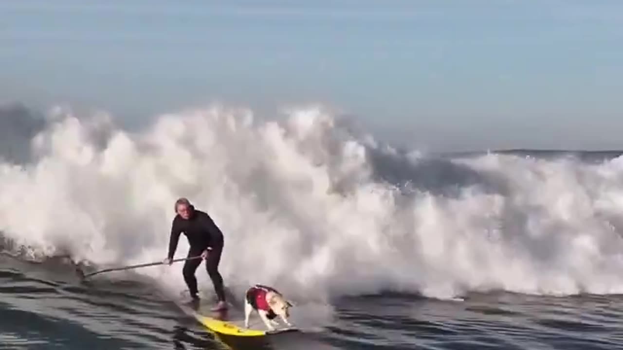 Motor Longboarding