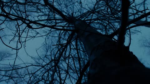 PARADISE LOST - Tyrants Serenade (OFFICIAL MUSIC VIDEO)