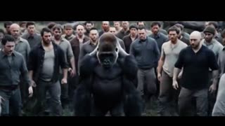 THE WHO WOULD WIN 100 MEN VS 1 GORILLA TREND: CONDITIONING