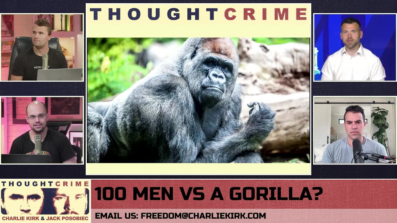 THOUGHTCRIME Ep. 82 — 100 Men vs. A Gorilla? Dad Bod or Gay Bod? AI vs. Redditors?
