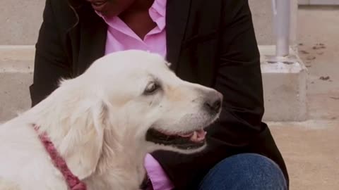Man Love for Dog #animal #cute #dog #trending #viralshort #shortvideo