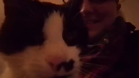 What that cat doin'
