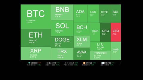 Live Coin Price Watch!