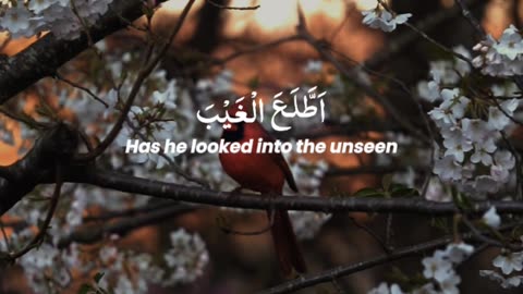 🔥 Surah Maryam 19:77–78 — سورة مريم ⚡⏳#love #Quran #viral #shorts #trending #YouTubeShorts #short