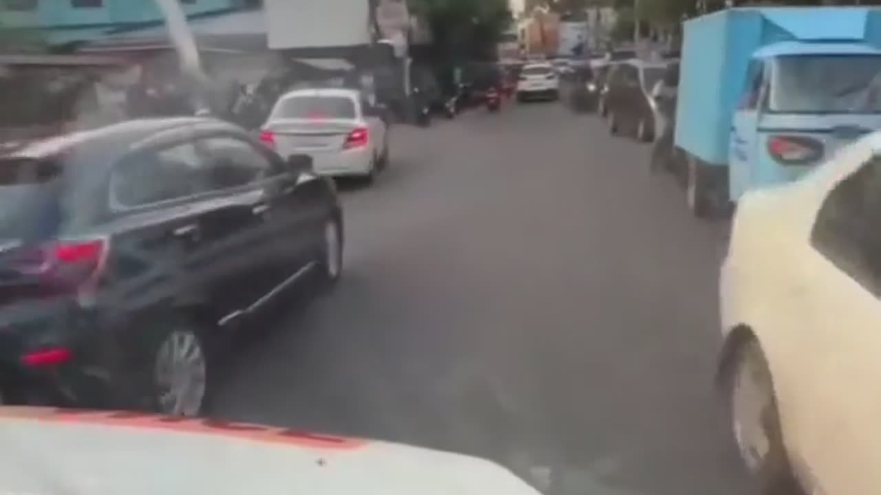 🚨💕 Incredible Moment of Civic Responsibility! | FeedMyCuriosity