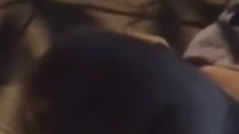 😂💡 Thought This Would Go Nicely Here! Watch This Hilarious Moment! | FunFM