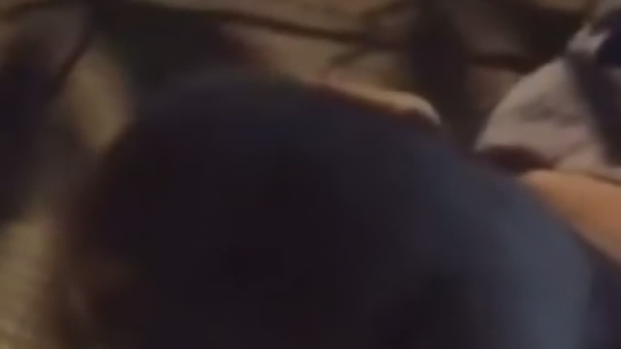 😂💡 Thought This Would Go Nicely Here! Watch This Hilarious Moment! | FunFM