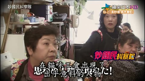 秘密のケンミンSHOW-妙國民糾察隊-秘密美食-廣島.靜岡&秘密習慣的現在-長野貓咪