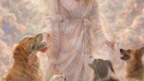 Pendant que des débiles de politiciens l'insultent les animaux, eux, pleurent ....