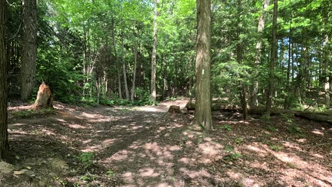 Walk on the greenbelt. Ontario Canada. 4K UHD.
