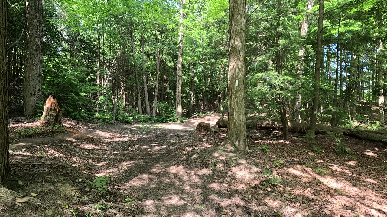 Walk on the greenbelt. Ontario Canada. 4K UHD.