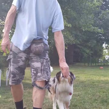 Back to the Basics: Lure Reward short 4