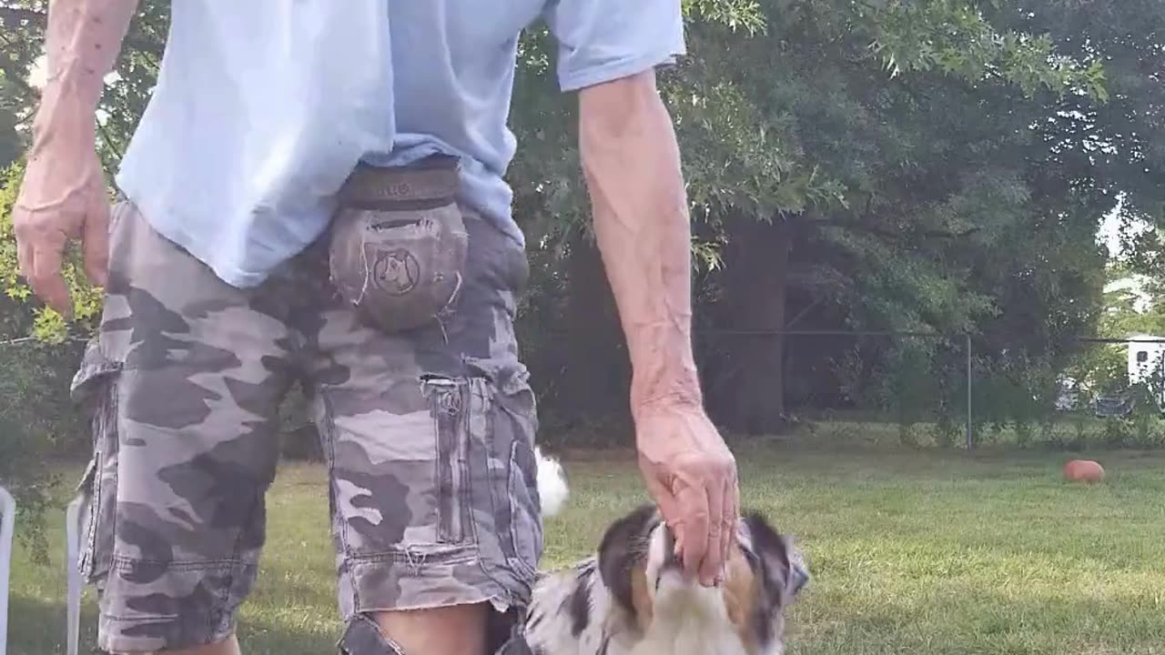 Back to the Basics: Lure Reward short 4