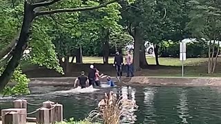 ICE agents tackle man in pond outside the Mecklenburg County Courthouse in Charlotte, N.C.