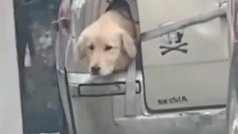 Malfunctioning turn signal