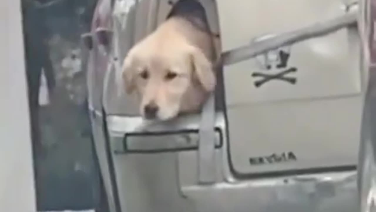 Malfunctioning turn signal