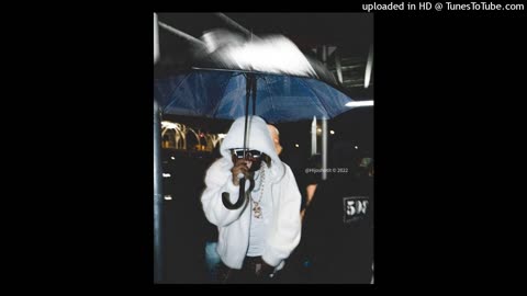 Future Type Beat "Risk Factor"