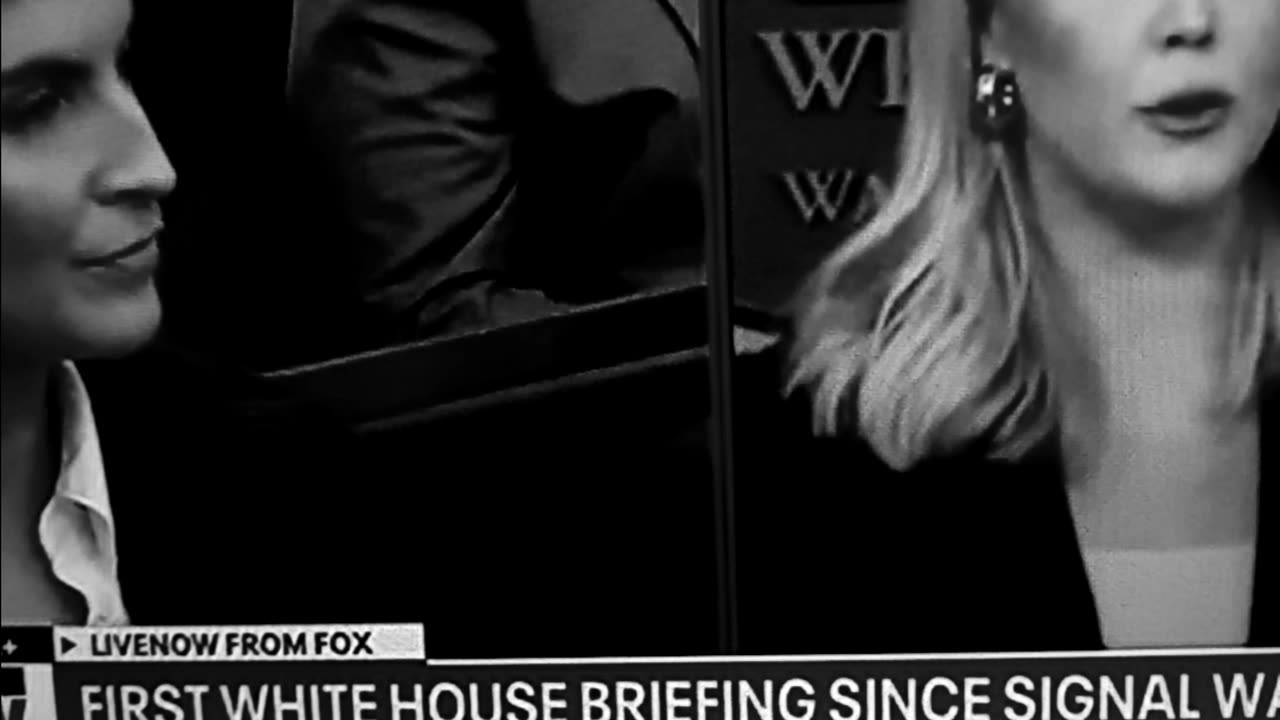 Karoline and CNN reporter go at it