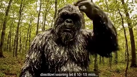 Top Bigfoot LOL Moments
