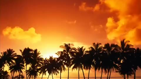 (HOLY QURAN) سورة مريم ماهر المعيقلي تلاوة خاشعه تدمع لها العين