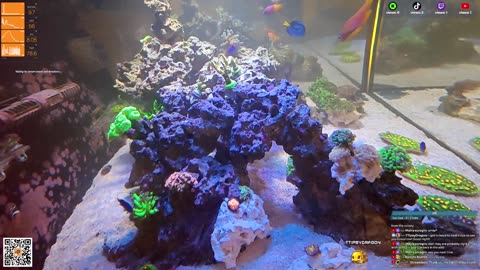 24/7 Real Live Reef Stream