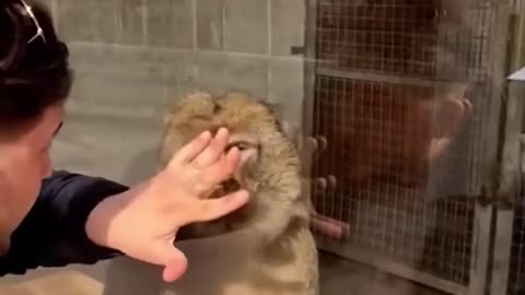 🤯🐾 How Did You Do That?! Mind-Blowing Animal Trick | FunFM