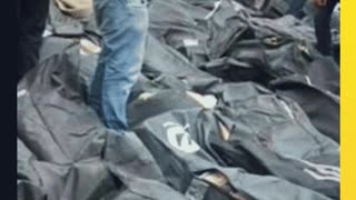 The United Nations did WHAT?