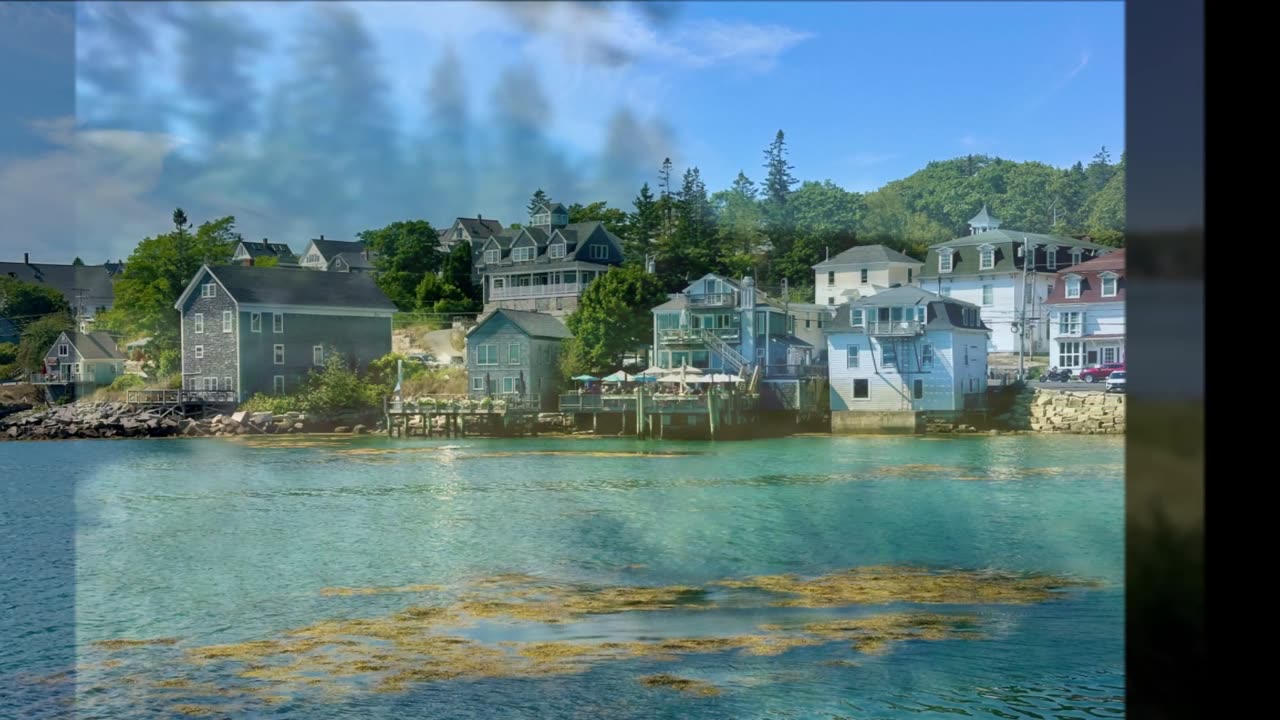 Boats, Dogs and Scallywags